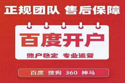 某电商平台的SEM投放全流程案例